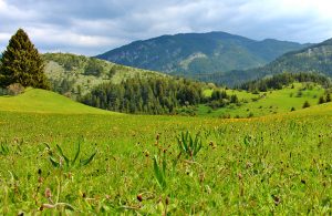 self-guided walking and trekking tours in the rhodopes, bulgaria